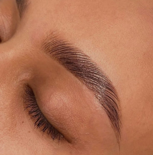 Formation Browlift